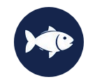 Icon lokale visserij
